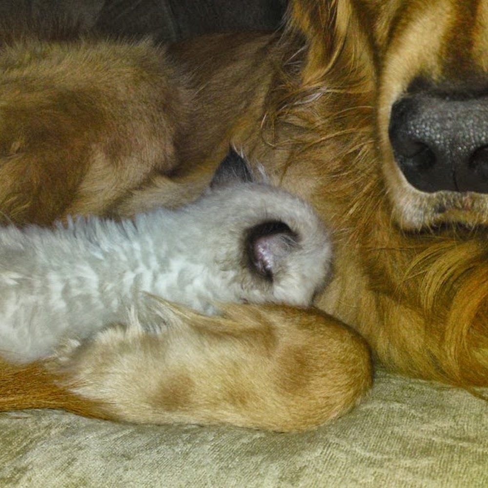 Meet your Posher, Tess